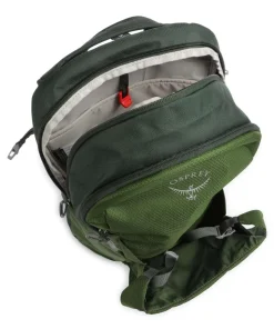 Daylite Plus Plus Rucksack 14″ recyceltes Polyester grün