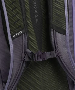 Transporter Rolltop Rucksack 15″ recyceltes Nylon flieder